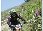 2013-07-13 -IMG 1687